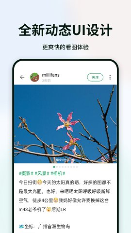 tent（tent是什么意思）
